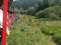 Bieszczady 2018 (023)